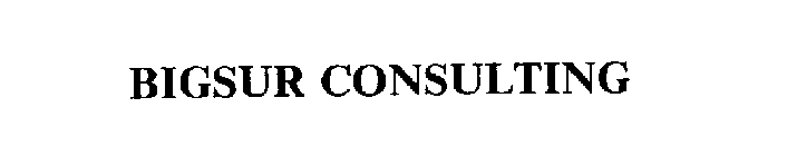 BIGSUR CONSULTING