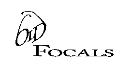 OLD FOCALS