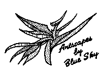 ARTSCAPES BY BLUE SKY