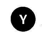 Y