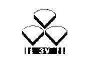 3V
