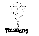 Image for trademark with serial number 75586245