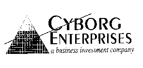 CYBORG ENTERPRISES A BUSINESS INVESTMENT COMPANY