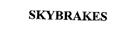 SKYBRAKES