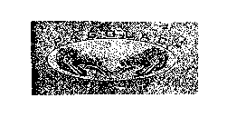 PAGOLAC SAUCE COMPANY