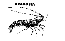 ARAGOSTA