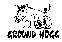 GROUND HOGG