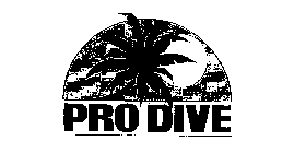 PRO DIVE