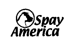 SPAYAMERICA