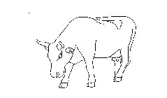 Image Trademark