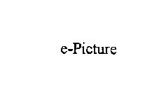 E-PICTURE