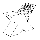 X
