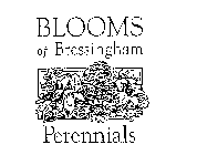 BLOOMS OF BRESSINGHAM PERENNIALS