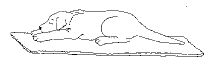 Image Trademark