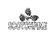 SCOTCHPINE