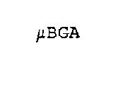 UBGA