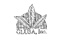 GLUSA, INC.