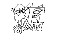 FM
