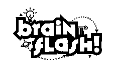 BRAIN FLASH!