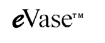 E VASE