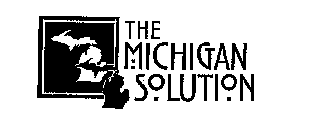 THE MICHIGAN SOLUTION