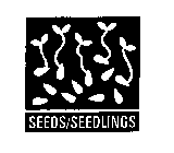 SEEDS/SEEDLINGS