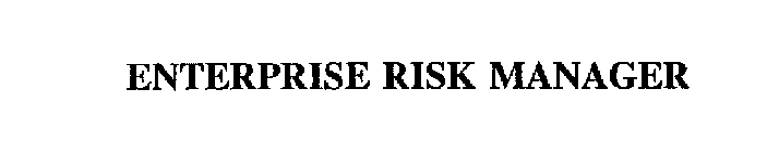 ENTERPRISE RISK MANAGER