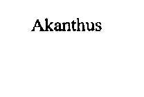 AKANTHUS