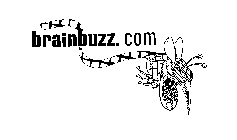 BRAINBUZZ.COM