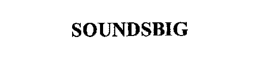 SOUNDSBIG