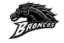 WESTERN MICHIGAN BRONCOS