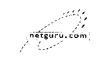 NETGURU.COM