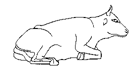 Image Trademark