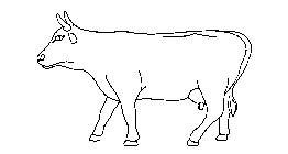 Image Trademark
