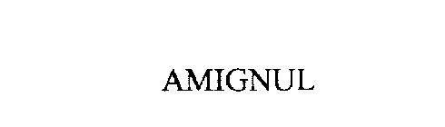 AMIGNUL