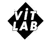 VIT LAB