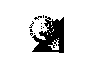 VISION SYSTEM
