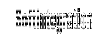 SOFTINTEGRATION