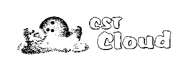 CST CLOUD