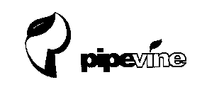 PIPEVINE