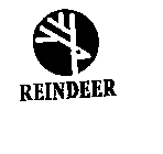 REINDEER