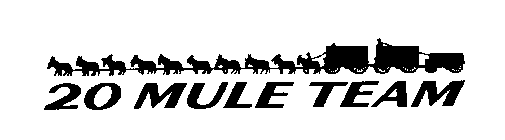 20 MULE TEAM