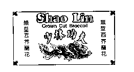 SHAO LIN CROWN CUT BROCCOIL