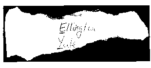 ELLINGTON YALE