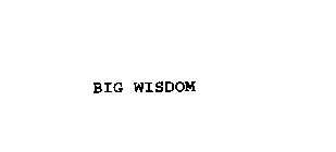 BIG WISDOM