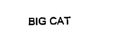 BIG CAT