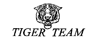 TIGER TEAM