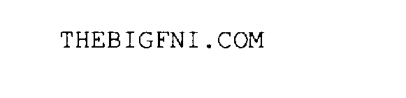 THEBIGFNI.COM