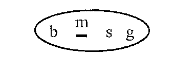 BMSG