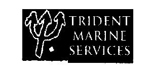 TRIDENT MARINE SERVICES